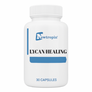 Screen Shot 2025 06 22 at 2.13.09 PM